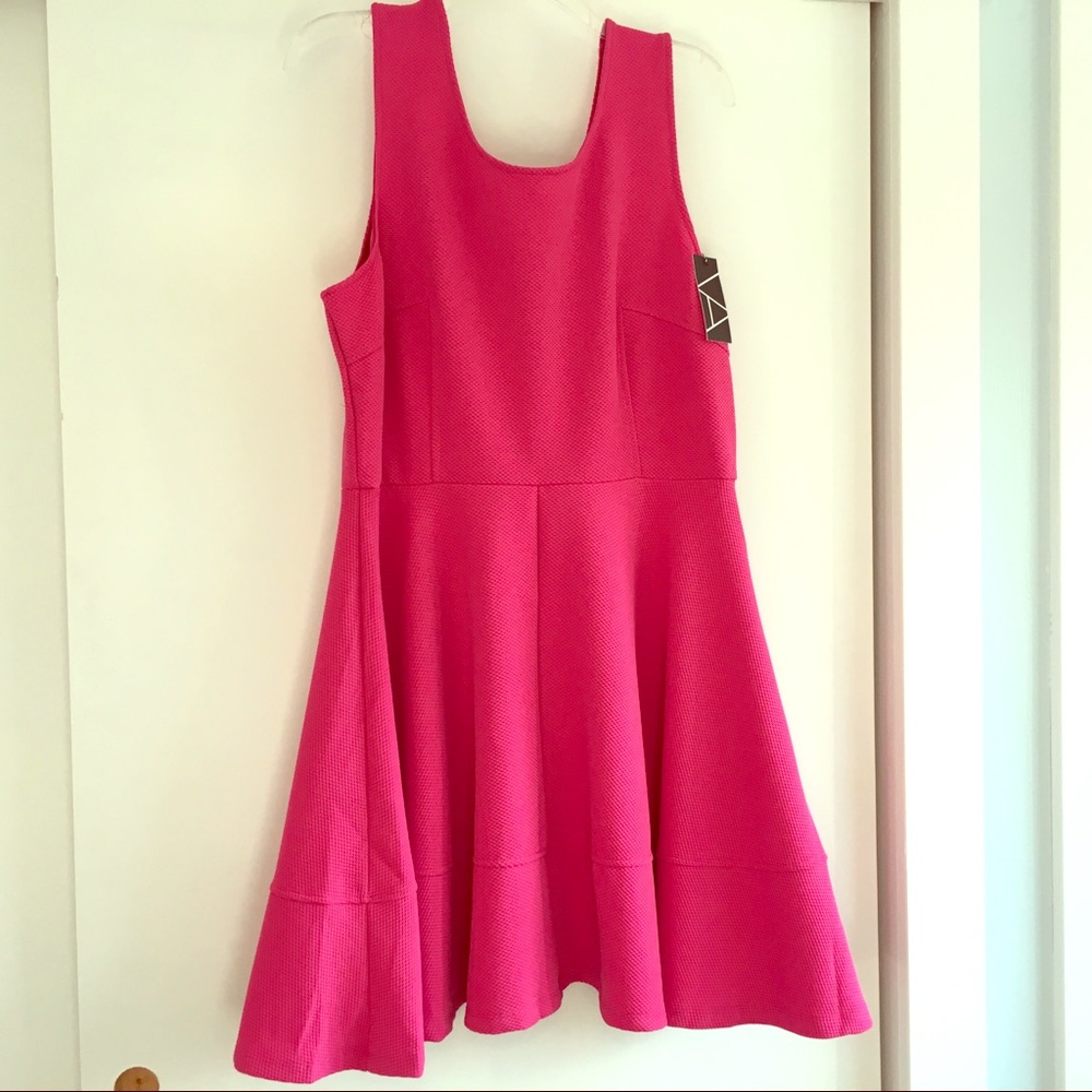 NWT Vasna Sleeveless Fitted Dress